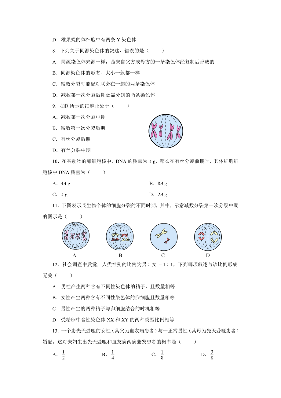 高中生物 必修二 基因和染色体的关系测试题及答案.docx_第2页