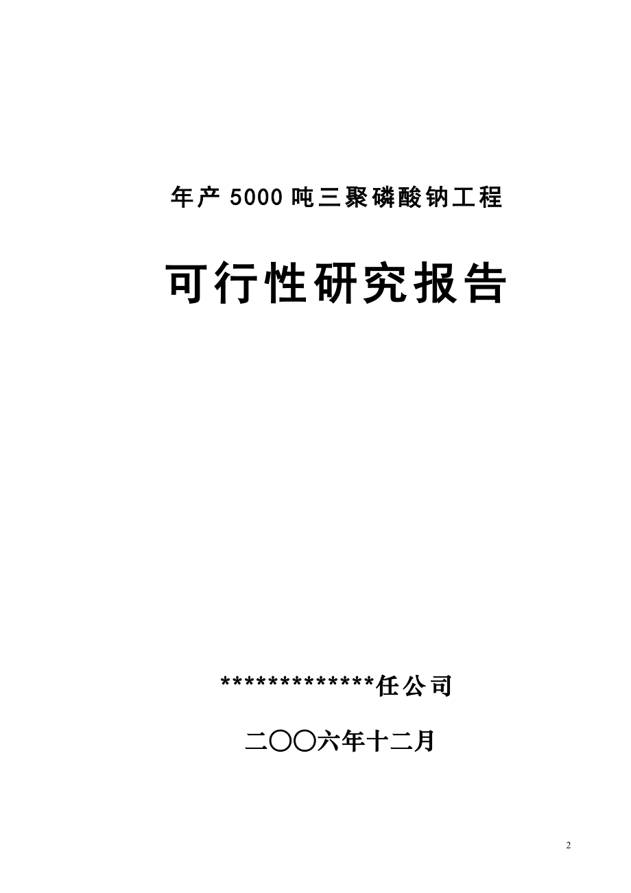 新年产5000吨三聚磷酸钠可研报告.doc_第2页