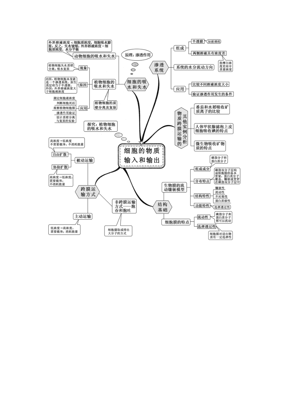 高中生物知识网络思维导图.docx_第2页