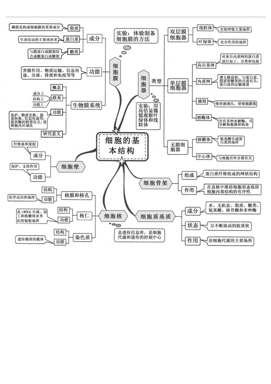 高中生物全套思维导图精编精校版1.docx_第2页