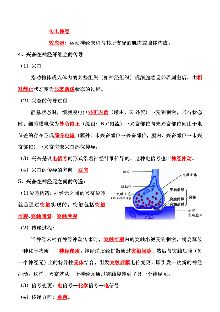 神经体液免疫调节知识点练习答案教案1.docx_第2页