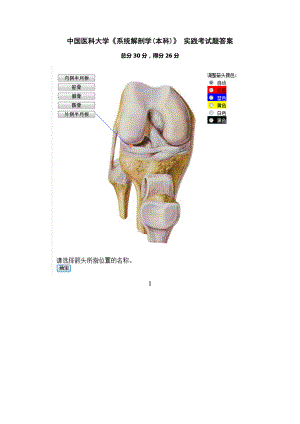 中国医科大学系统解剖学本科实践考试题答案.docx