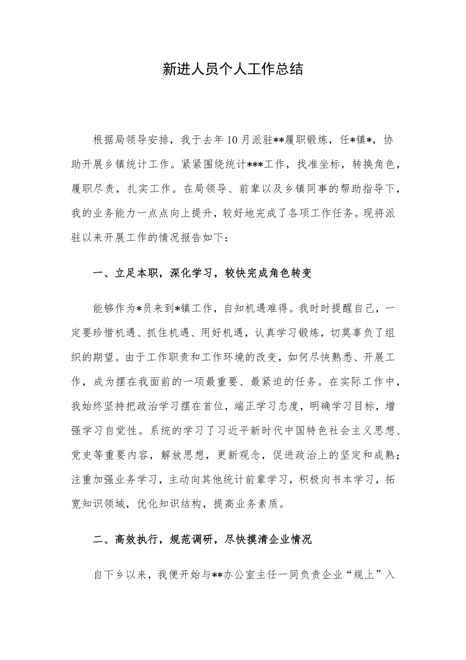 新进人员个人工作总结.docx_第1页