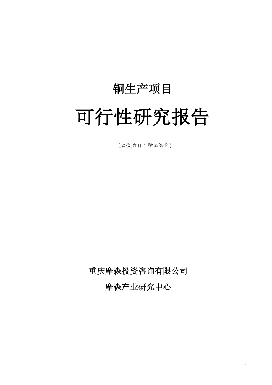 铜可行性研究报告（立项·备案·可行性研究报告）(1).doc_第1页