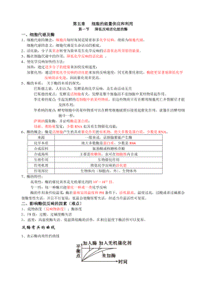 第五章第一节降低化学反应活化能的酶知识点.docx