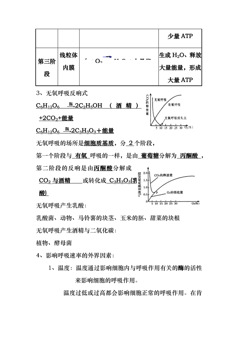 高考生物知识点---光合作用和呼吸作用.docx_第2页