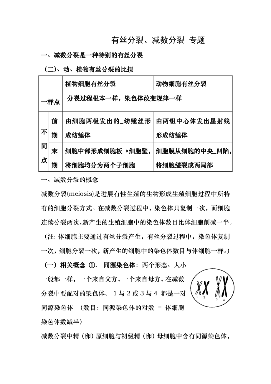 有丝分裂与减数分裂知识点整理高考专题总结完美版.docx_第1页