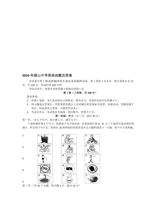 眉山中考英语试题及复习资料.docx