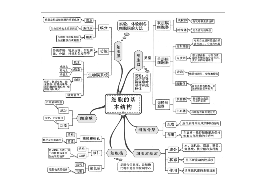 新课标高中生物全套思维导图适用2018高考.docx_第2页