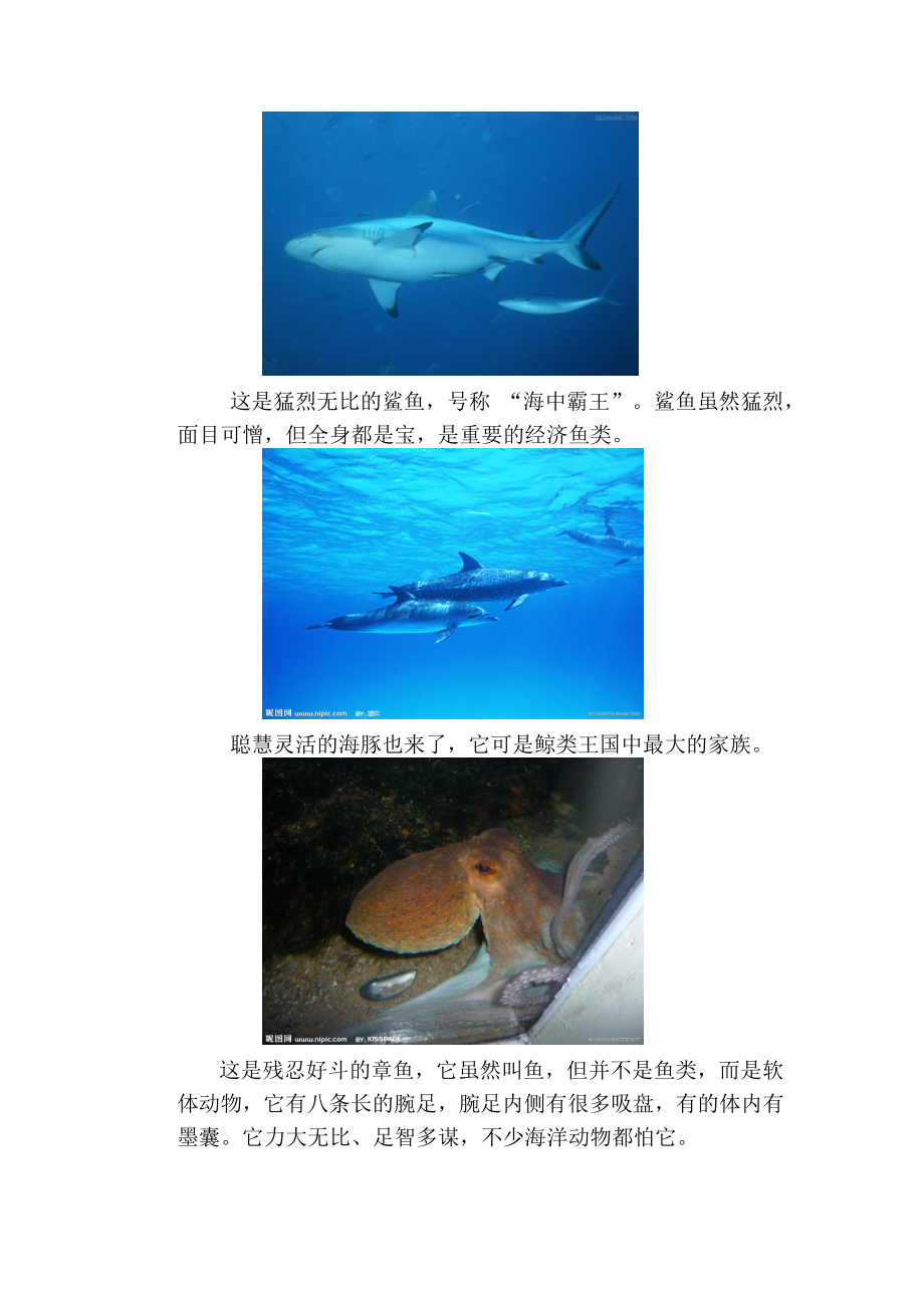 蓝色的家园海洋教育篇六年级上册教案.docx_第2页