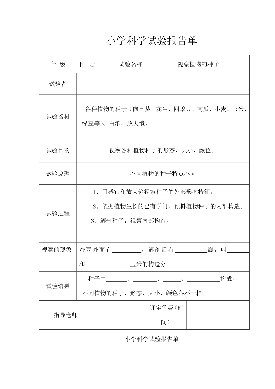 教科版小学三年级科学下册全册实验报告单.docx_第1页