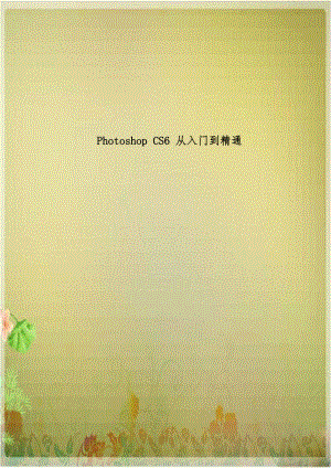 Photoshop CS6 从入门到精通.doc