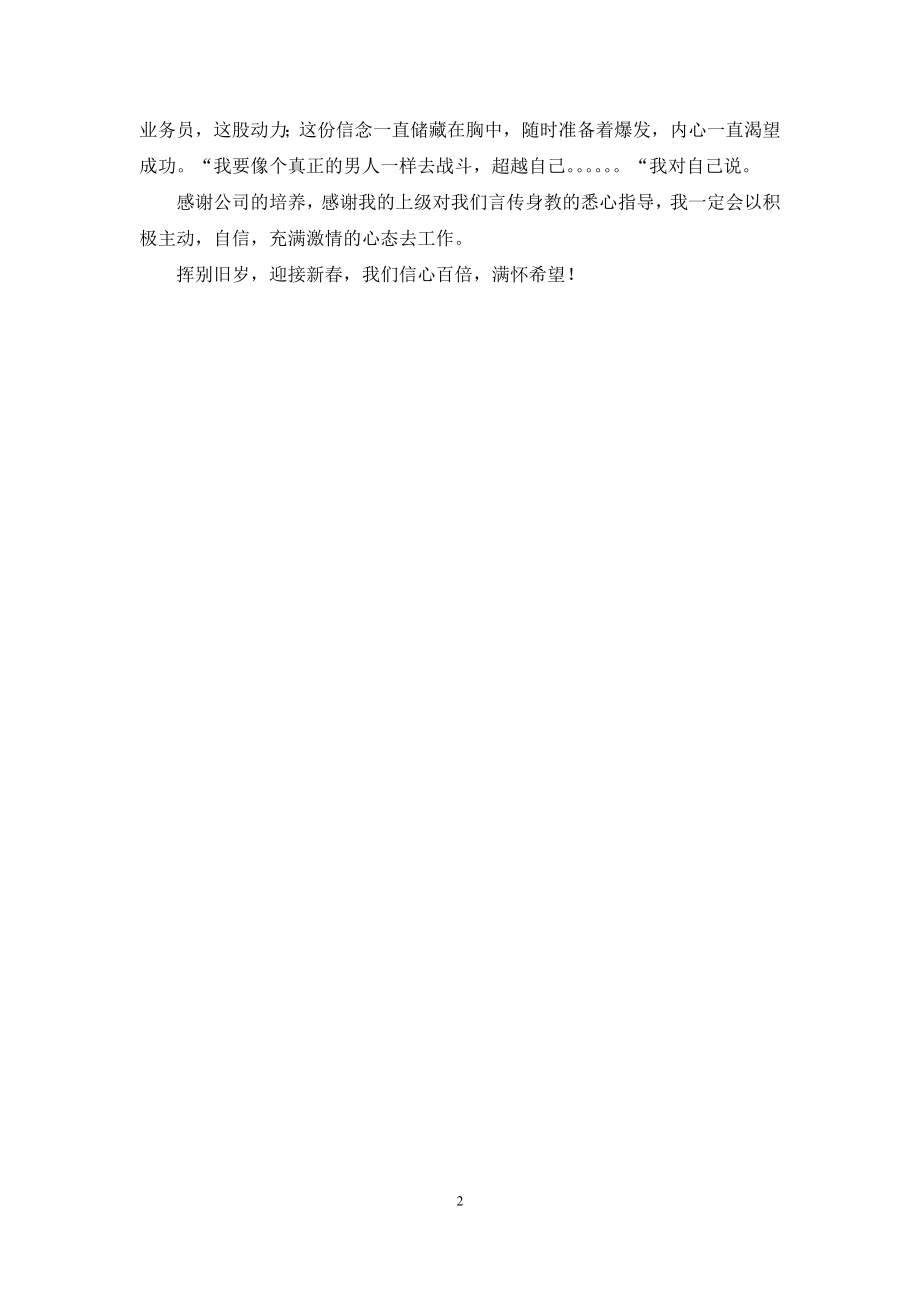 2021销售年终总结发言稿.docx_第2页