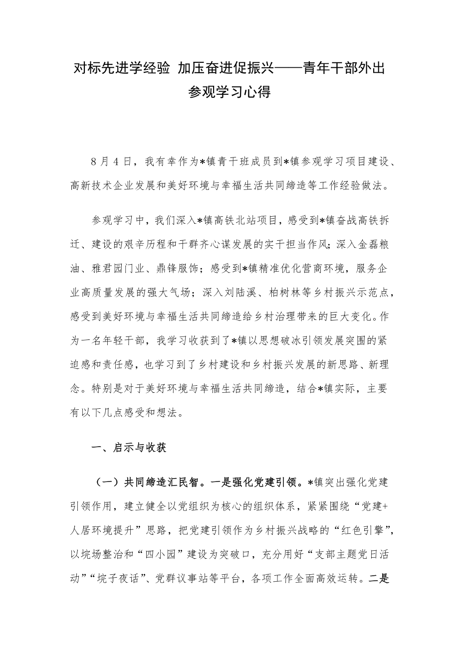 对标先进学经验 加压奋进促振兴——青年干部外出参观学习心得.docx_第1页