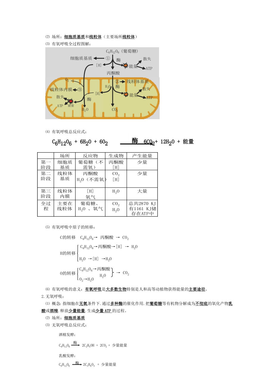 高中生物必修一第五章细胞的能量供应和利用知识点.总结.doc_第2页