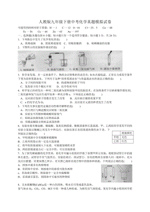 人教版九年级下册中考化学真题模拟试卷.doc