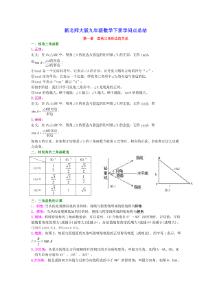 新北师大九年级数学下册知识点总结1.docx