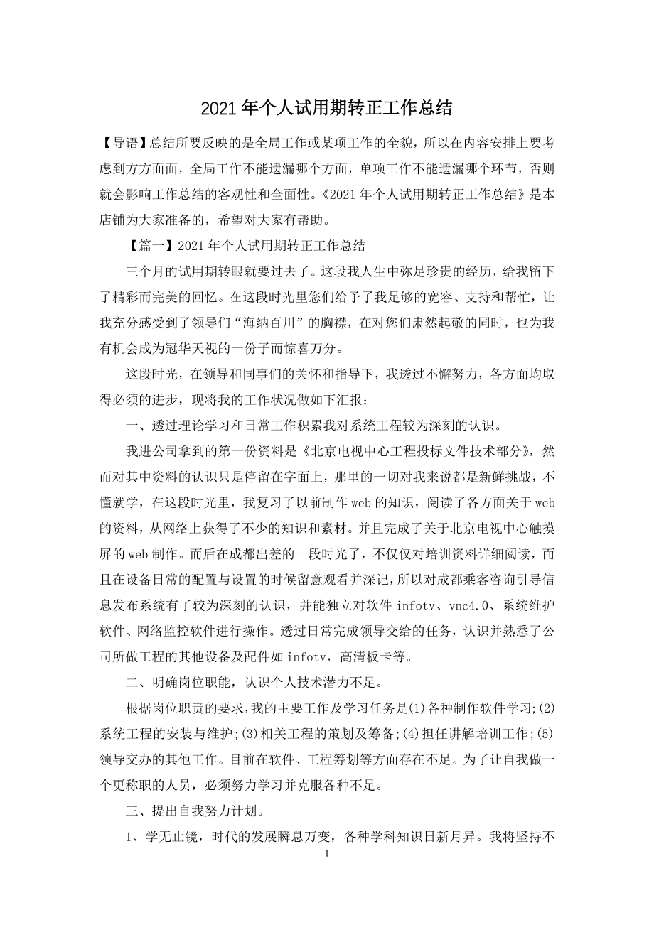 2021年个人试用期转正工作总结.docx_第1页