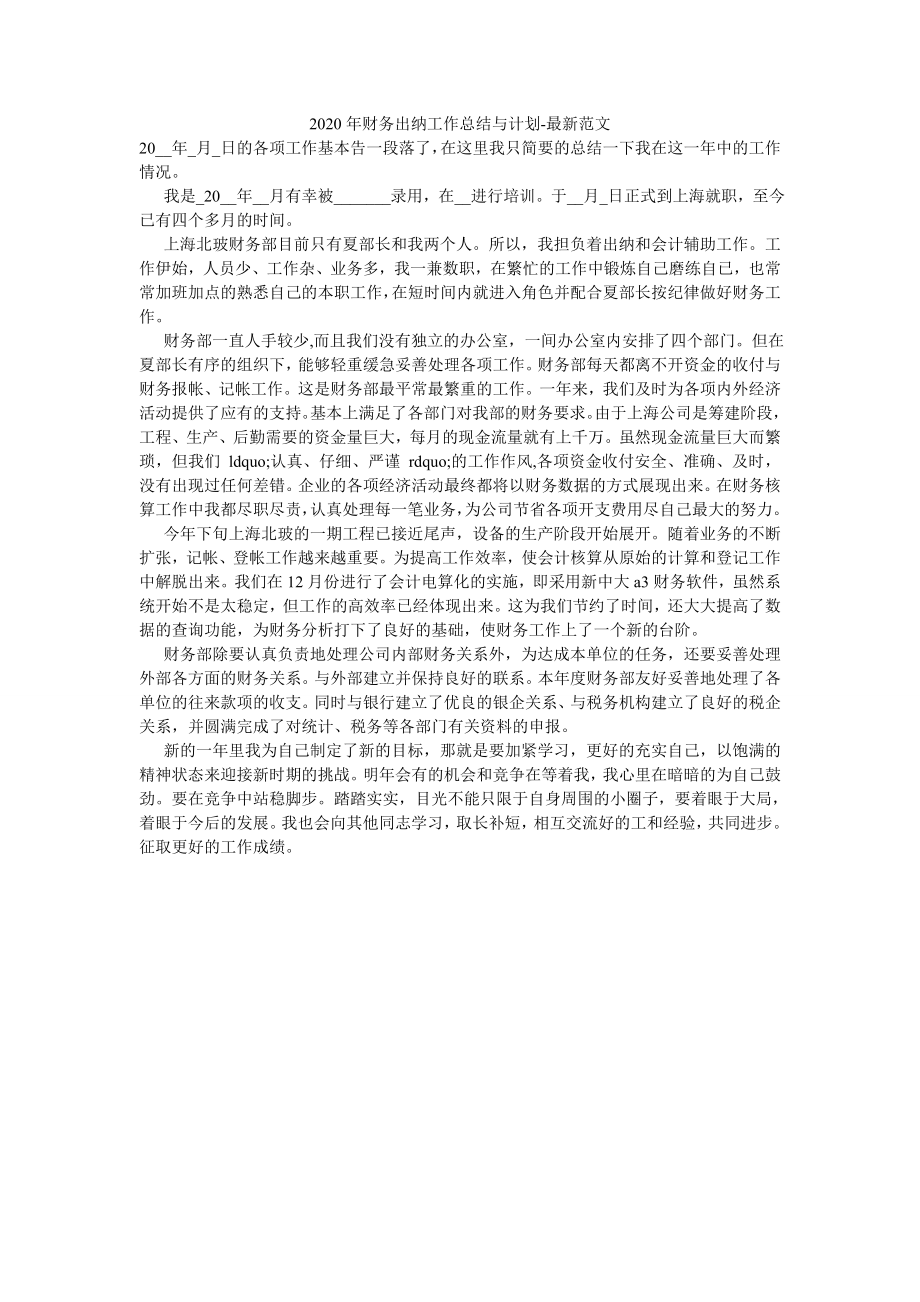 2020年财务出纳工作总结与计划-最新范文.doc_第1页