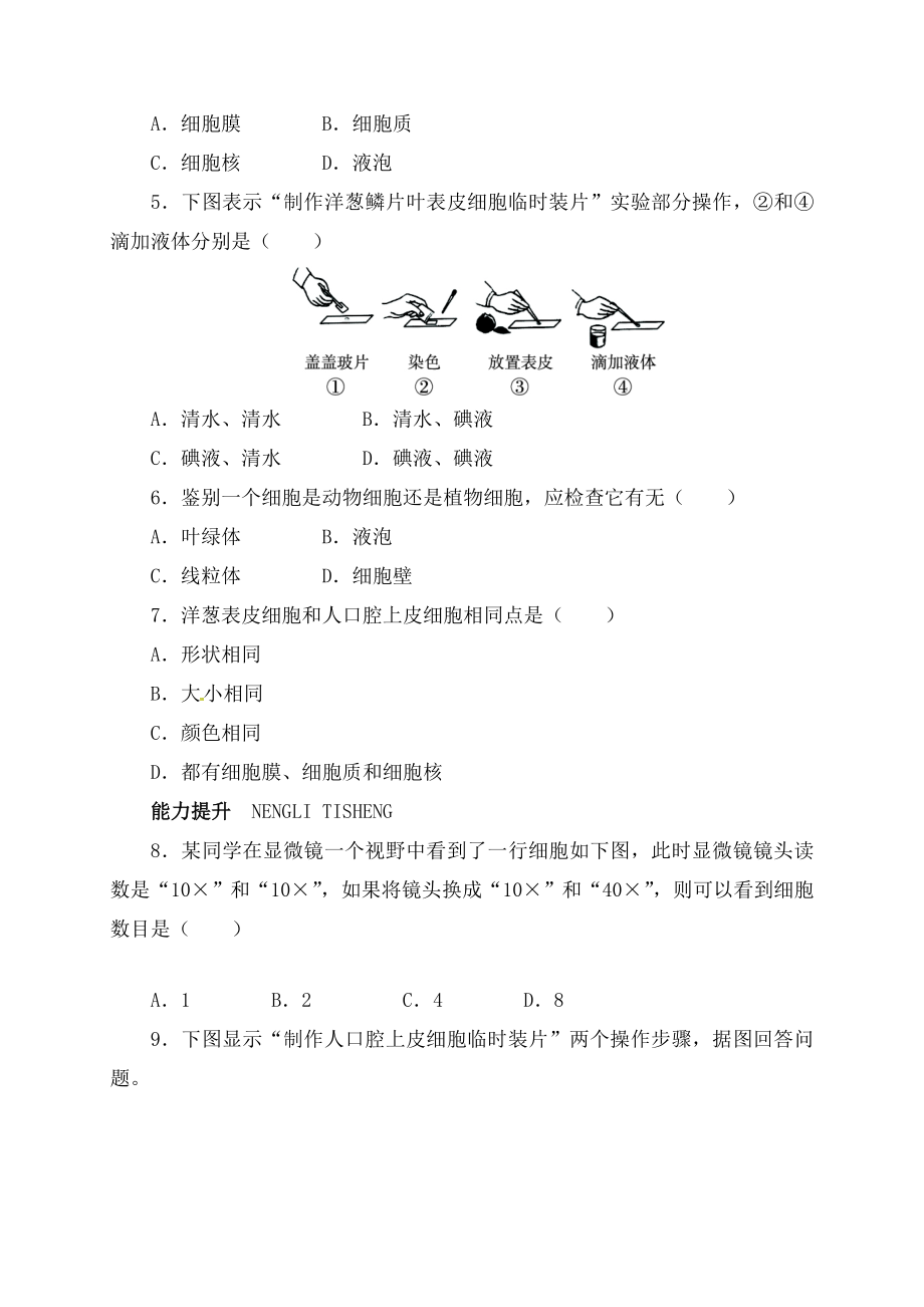 七年级生物上册231细胞的基本结构和功能自我小测北师大版.docx_第2页