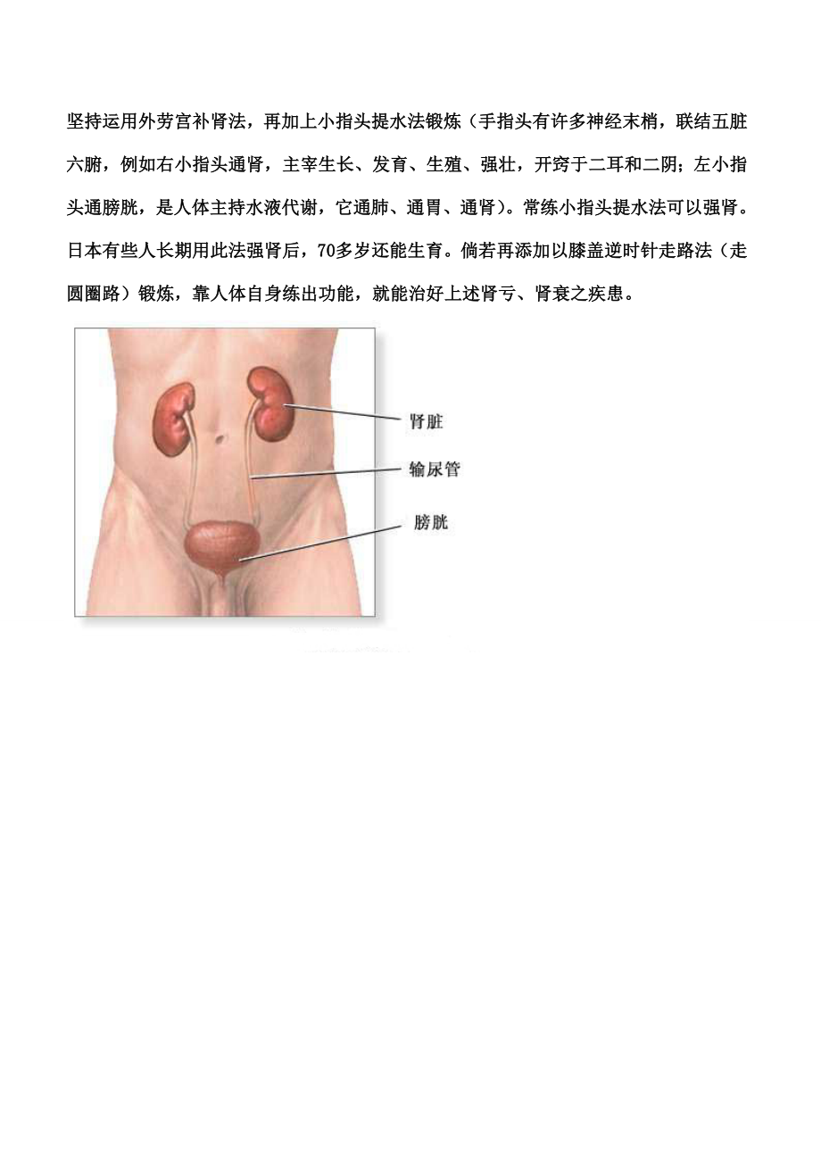 中医养生补肾.docx_第2页