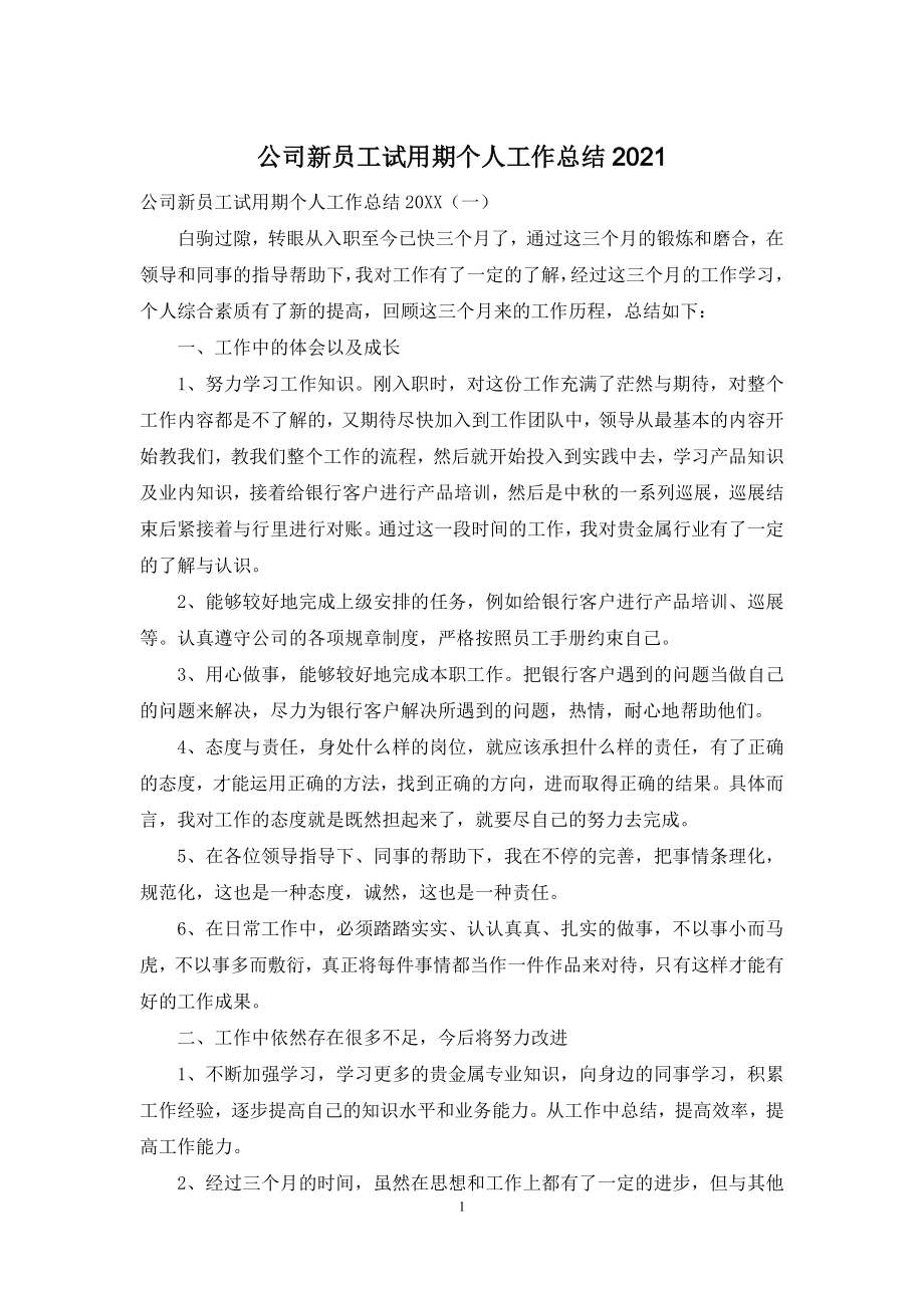 公司新员工试用期个人工作总结2021.docx_第1页