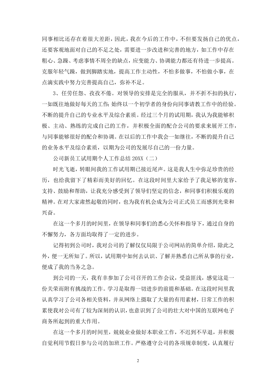 公司新员工试用期个人工作总结2021.docx_第2页