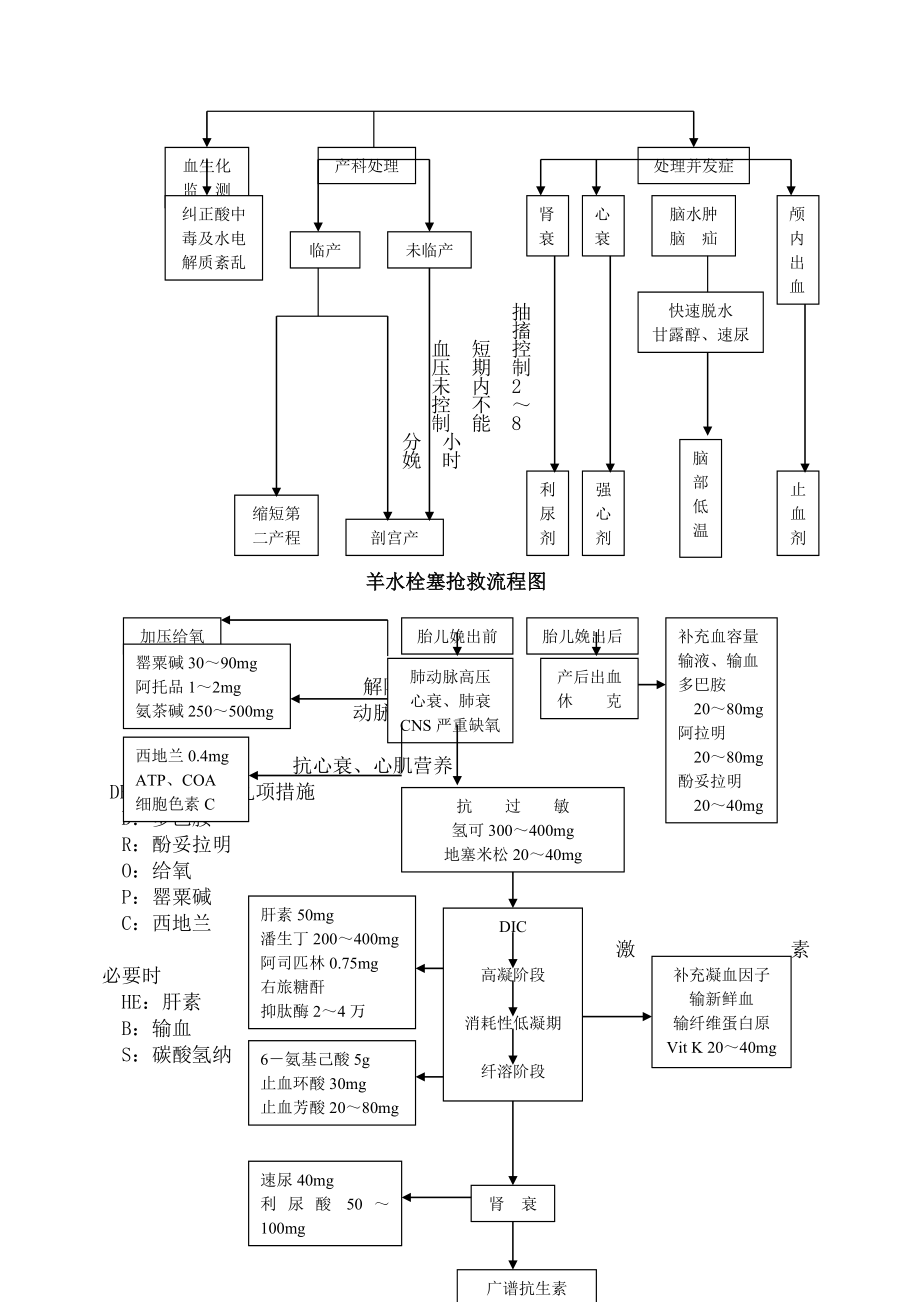 产后出血子痫羊水栓塞抢救流程图.doc_第2页