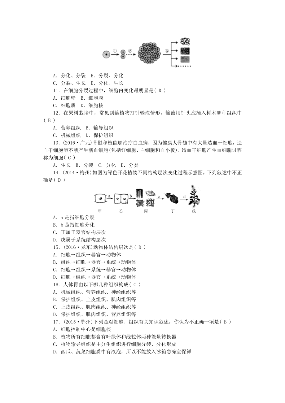 中考生物第二单元生物体的结构层次第讲细胞怎样构成生物体.docx_第2页