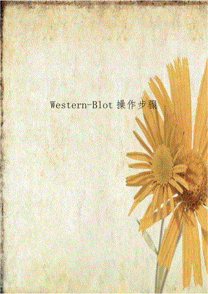 Western-Blot操作步骤.doc