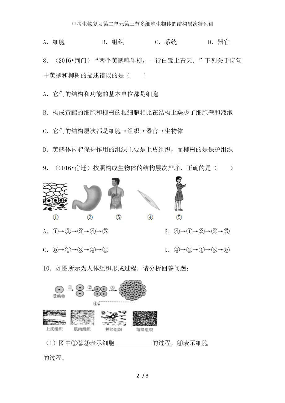 中考生物复习第二单元第三节多细胞生物体的结构层次特色训.docx_第2页