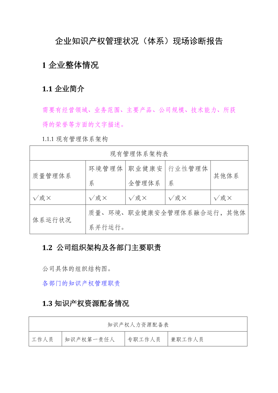 南京市企业知识产权贯标诊断报告.docx_第2页