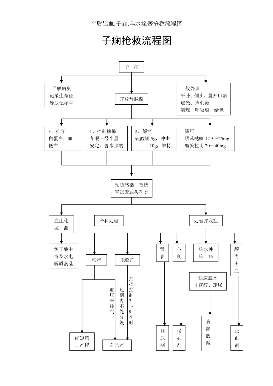 产后出血,子痫,羊水栓塞抢救流程图.docx_第2页