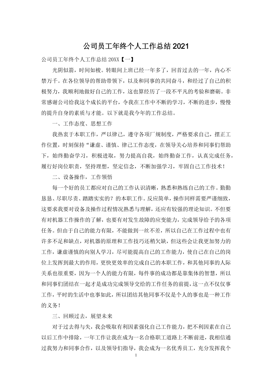 公司员工年终个人工作总结2021.docx_第1页