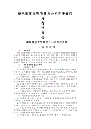 养牛项目可行性报告.doc