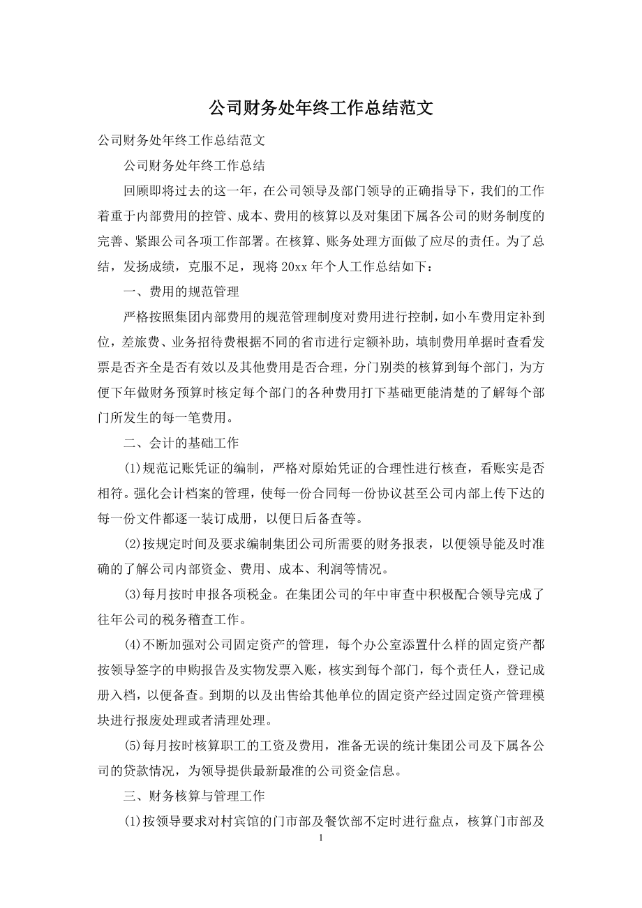 公司财务处年终工作总结范文.docx_第1页