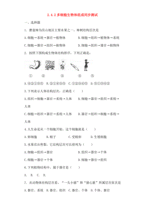 七年级生物上册242多细胞生物体的组成同步测试无答案苏教版.docx