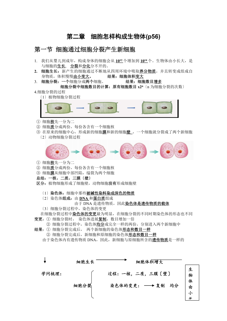 细胞怎样构成生物体复习知识点.docx_第1页