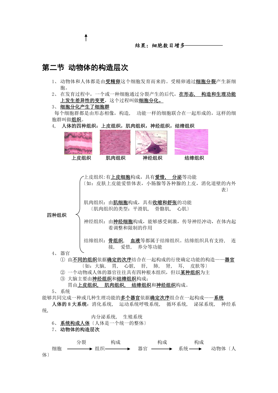 细胞怎样构成生物体复习知识点.docx_第2页