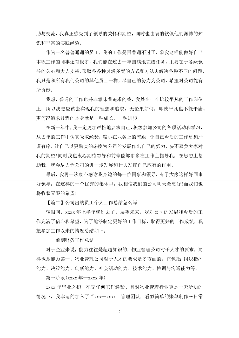 公司出纳员工个人工作总结怎么写.docx_第2页