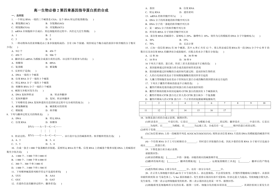 基因指导蛋白质的合成测试题.doc_第1页