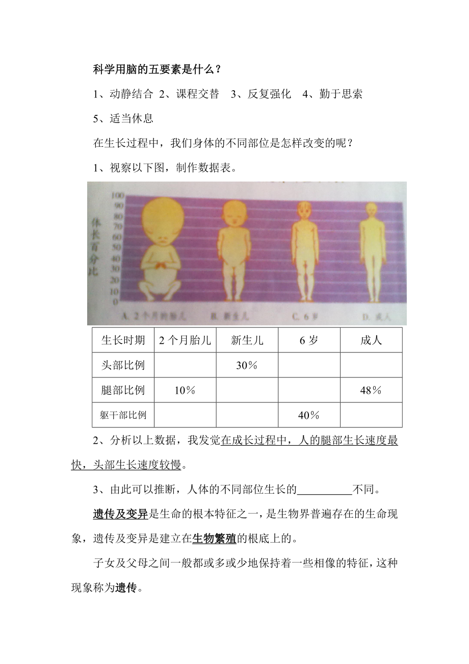 苏教版六年级科学下册总复习知识点.docx_第2页