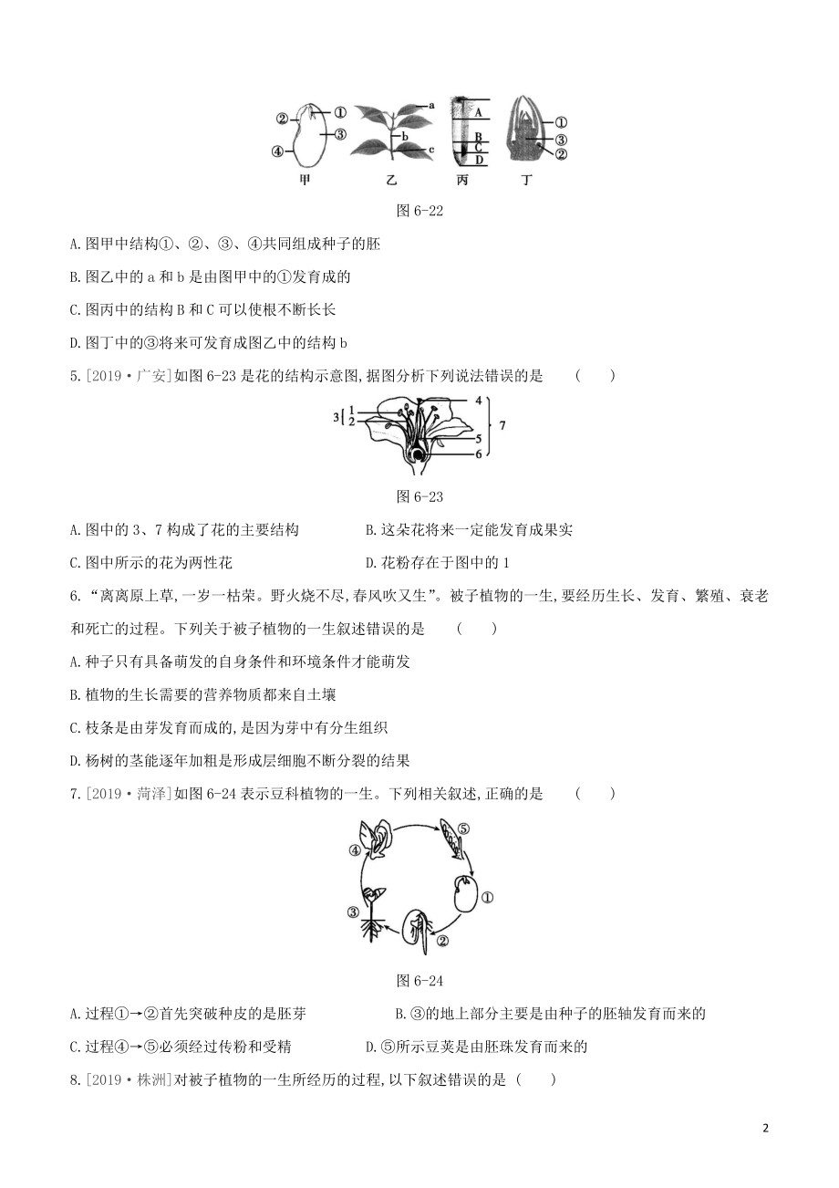 2021中考生物复习方案第三单元生物圈中的绿色植物第06课时被子植物的一生试题（含答案）.docx_第2页