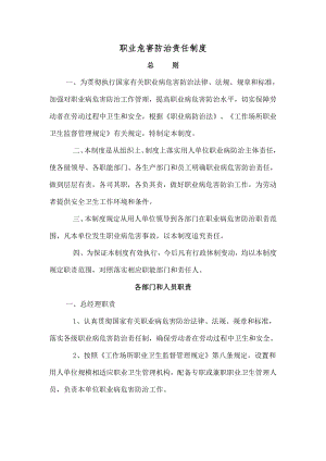 XXX公司职业病危害防治责任制.docx