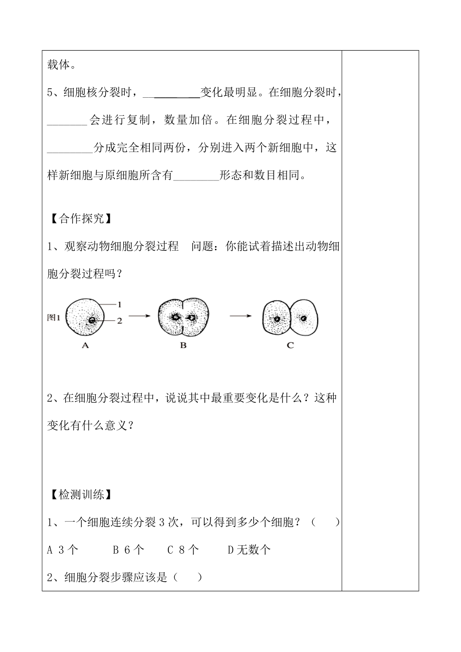 七年级生物上册221细胞通过分裂产生新细胞学案.docx_第2页