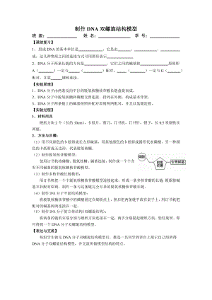 制作DNA双螺旋结构模型实验报告册.doc