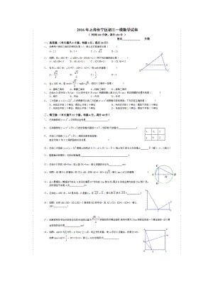 长宁普陀初三数学一模附复习资料.docx