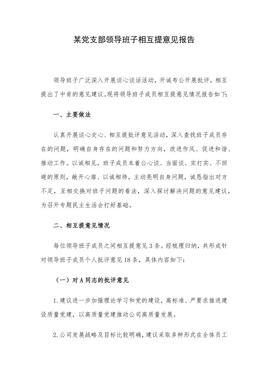 某党支部领导班子相互提意见报告.docx_第1页