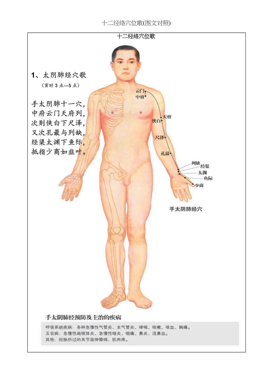 十二经络穴位歌(图文对照).docx_第1页