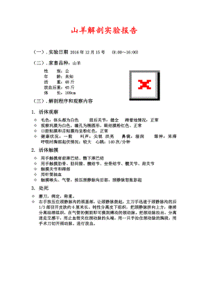 山羊解剖实习报告.docx